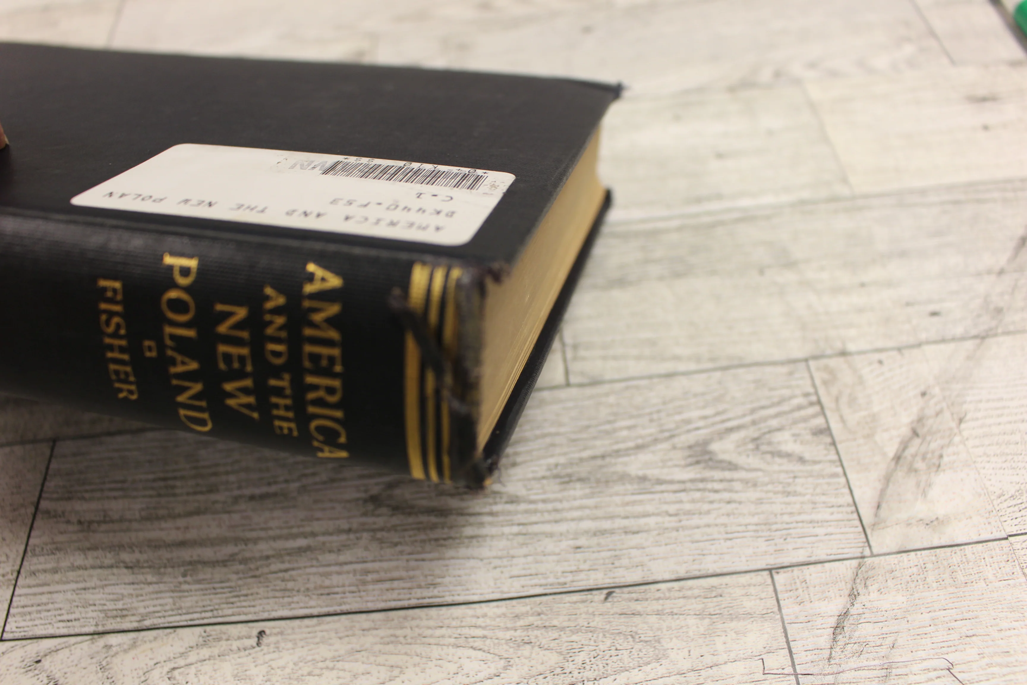 America And The New Poland (1928) by H. H. Fisher - Used - Image 7