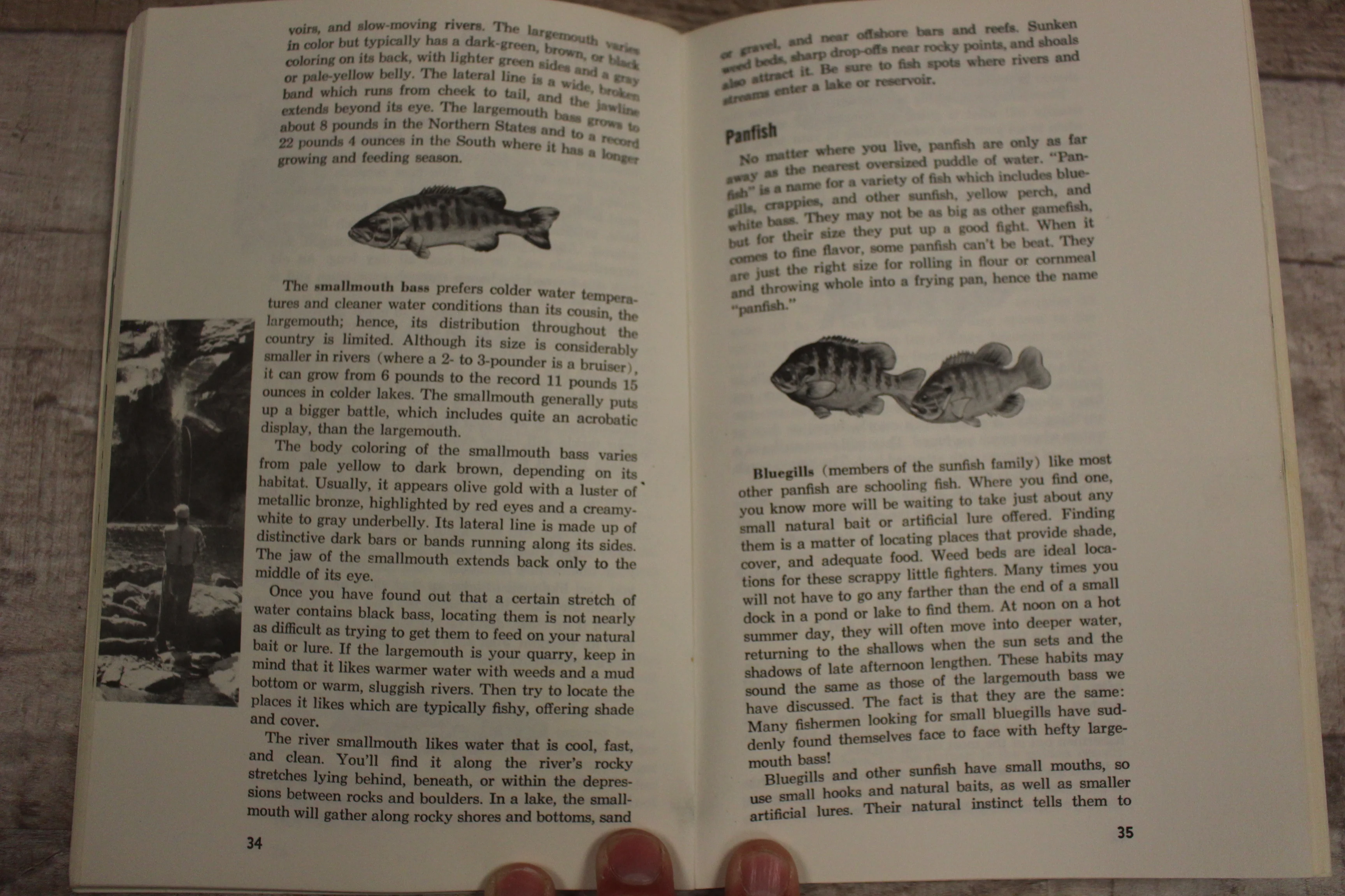 Boy Scouts Of America Merit Badge Series: Fishing -Used - Image 2