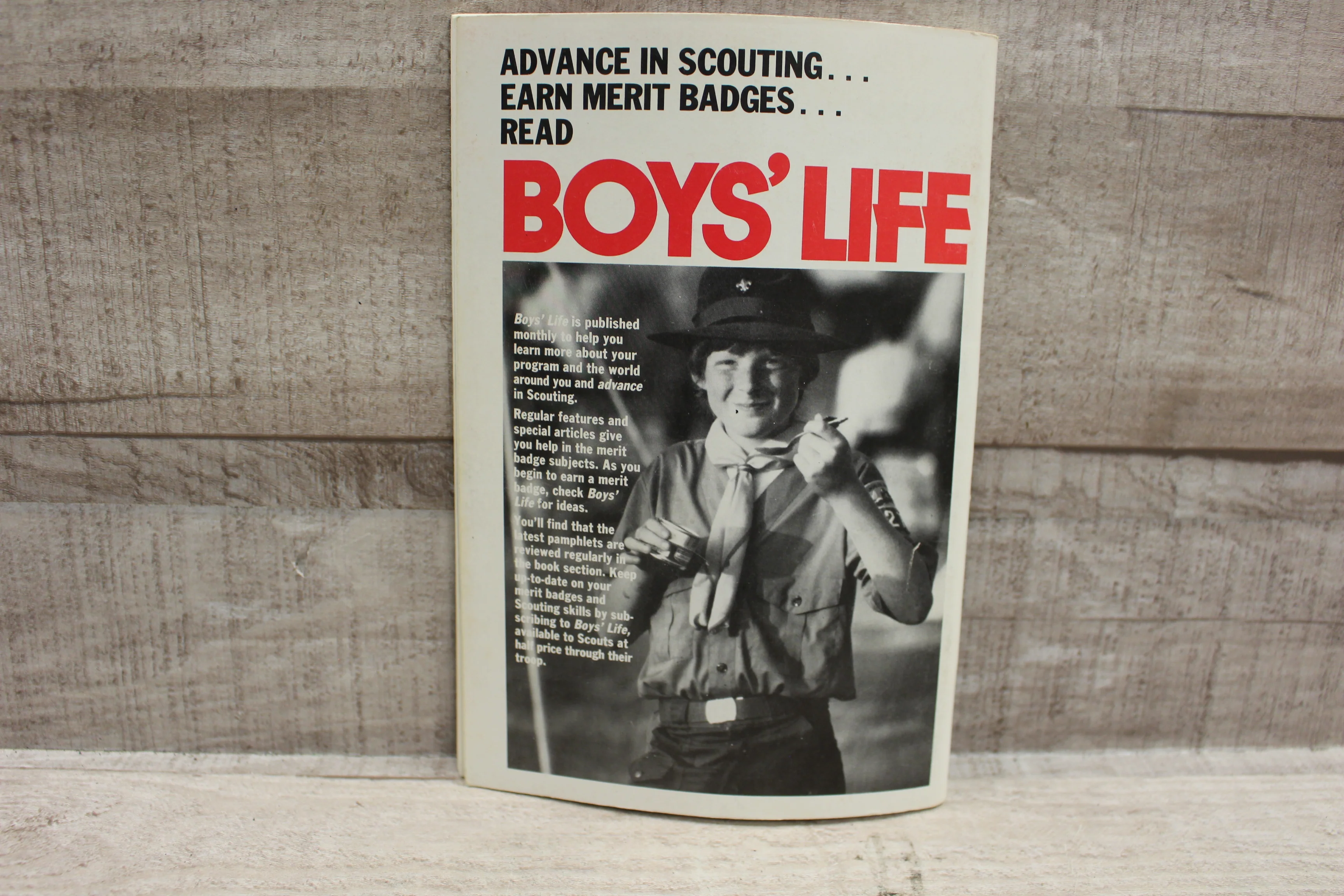 Boy Scouts Of America Merit Badge Series: Fishing -Used - Image 3