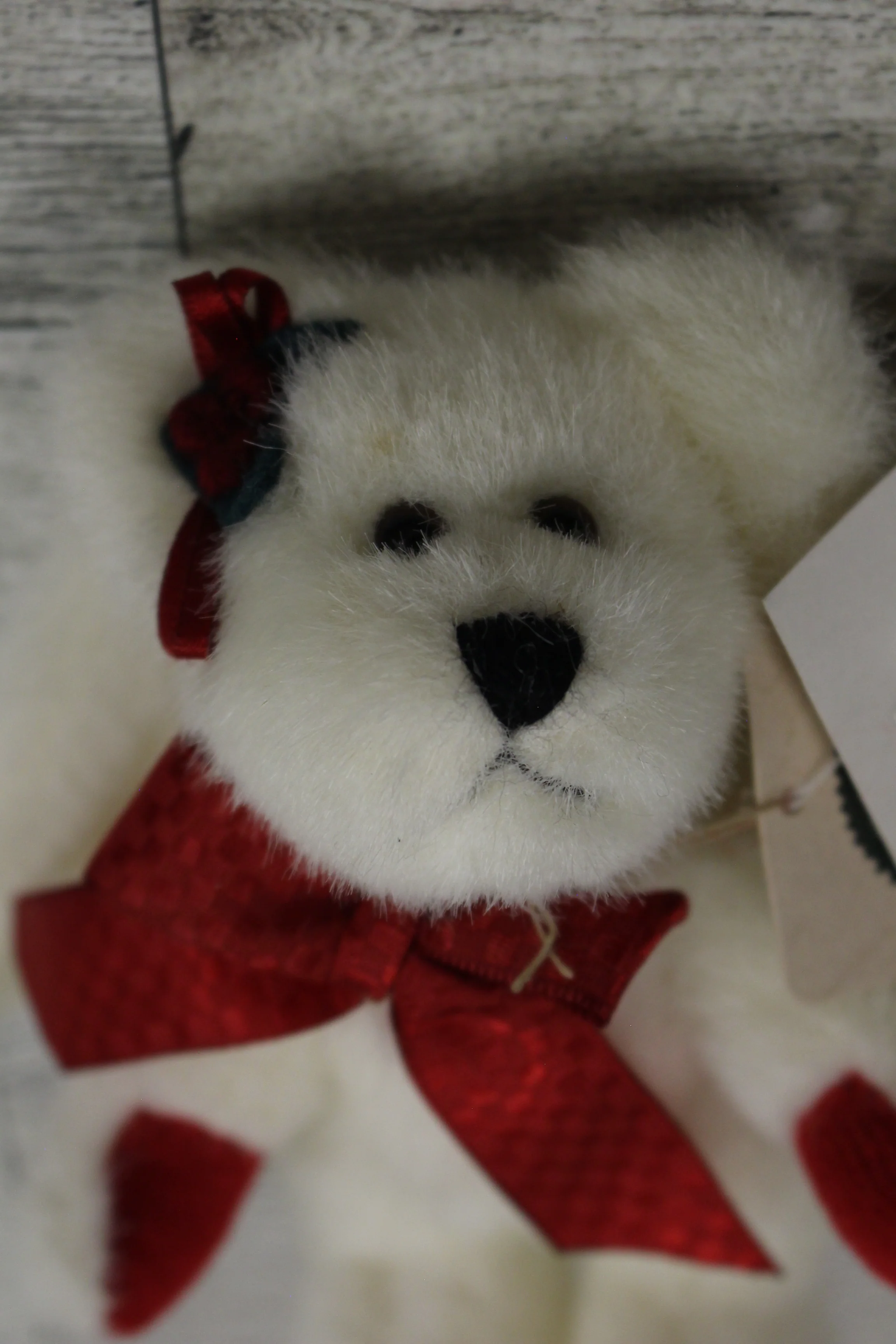 Boyds Bears "Faith Angel Beary" - Used - Image 3