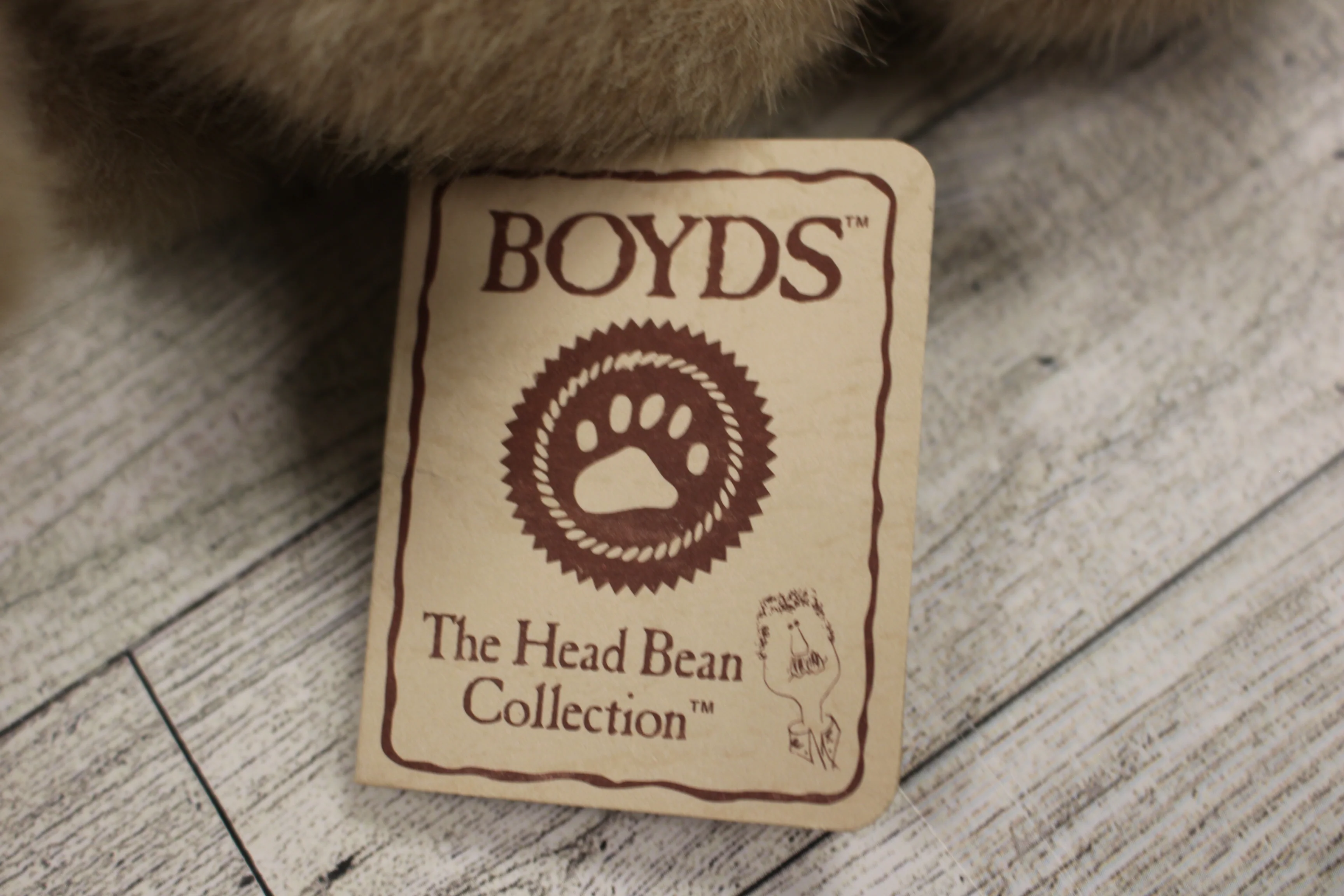 Boyds Bears Mia Goodfriends Thinkin of Ya Series - Style 903027 - 6" - New - Image 3
