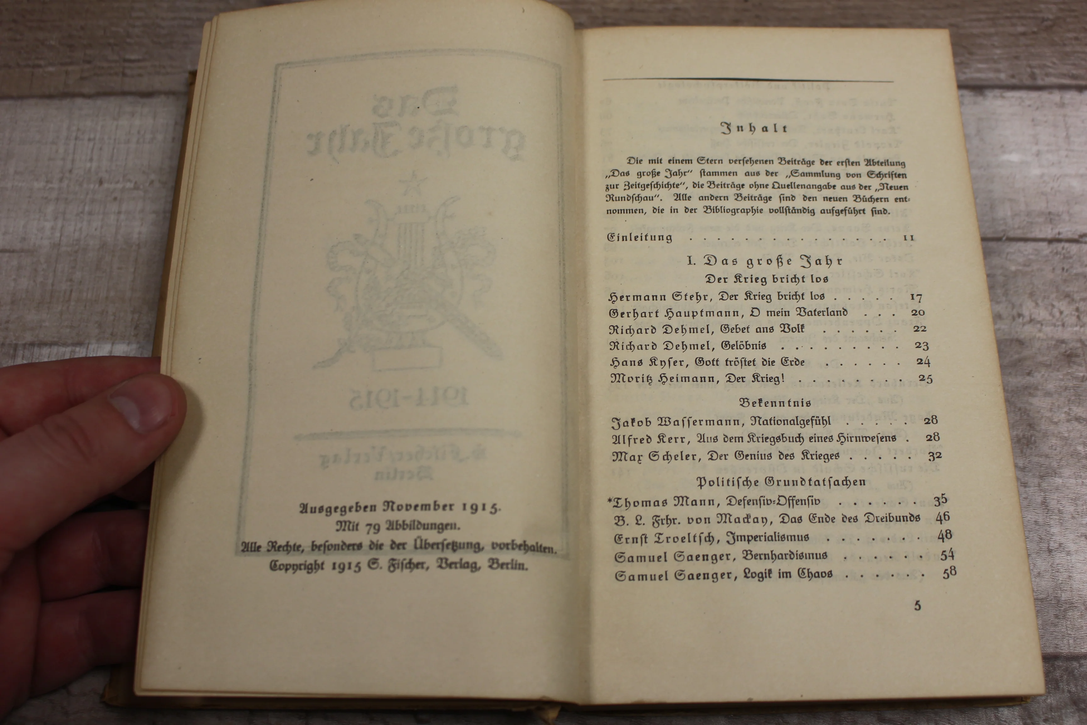 Das Große Jahr - 1914-1915 - S. Fischer / Verlag Berlin - German - Hardback-Used - Image 5