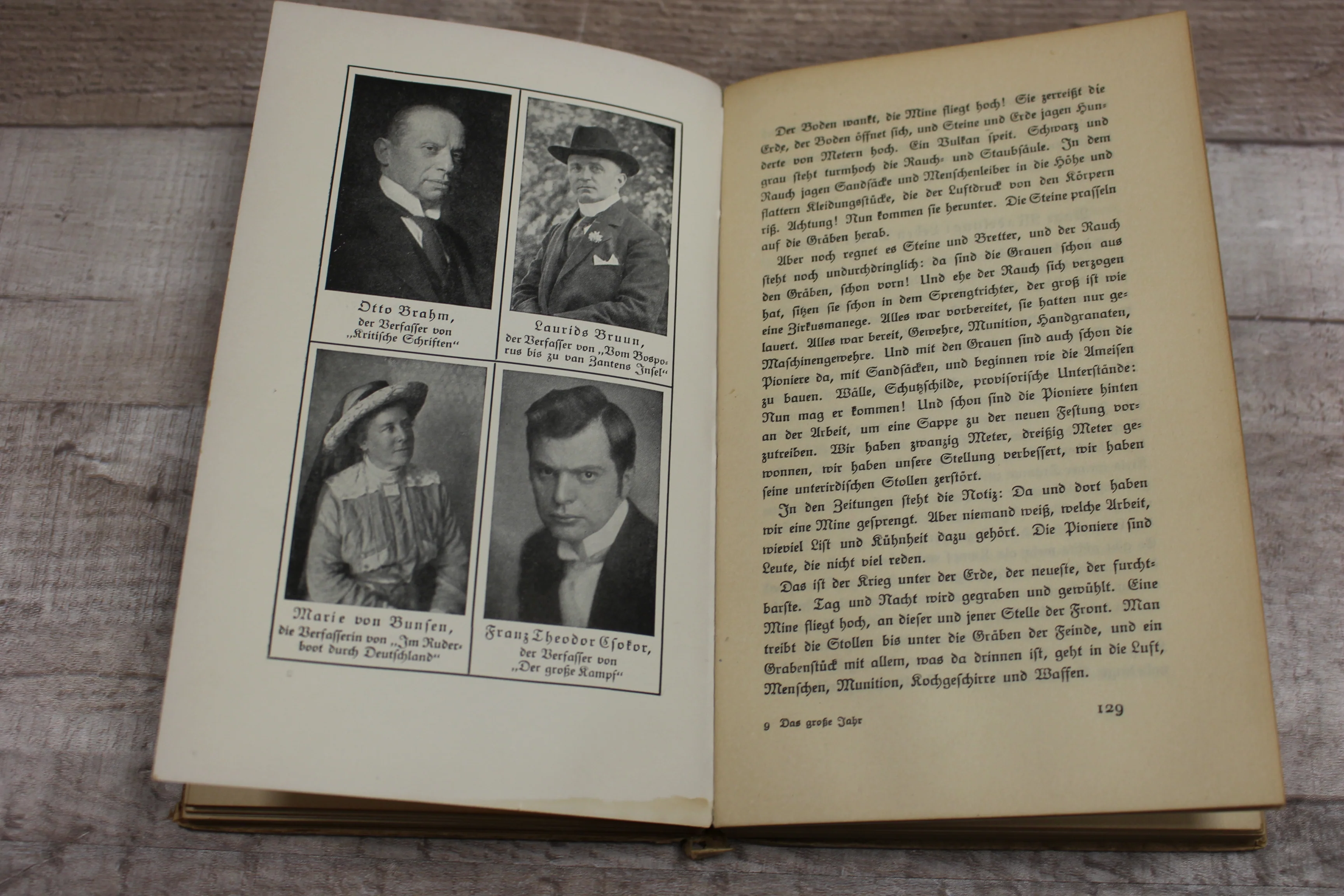 Das Große Jahr - 1914-1915 - S. Fischer / Verlag Berlin - German - Hardback-Used - Image 6