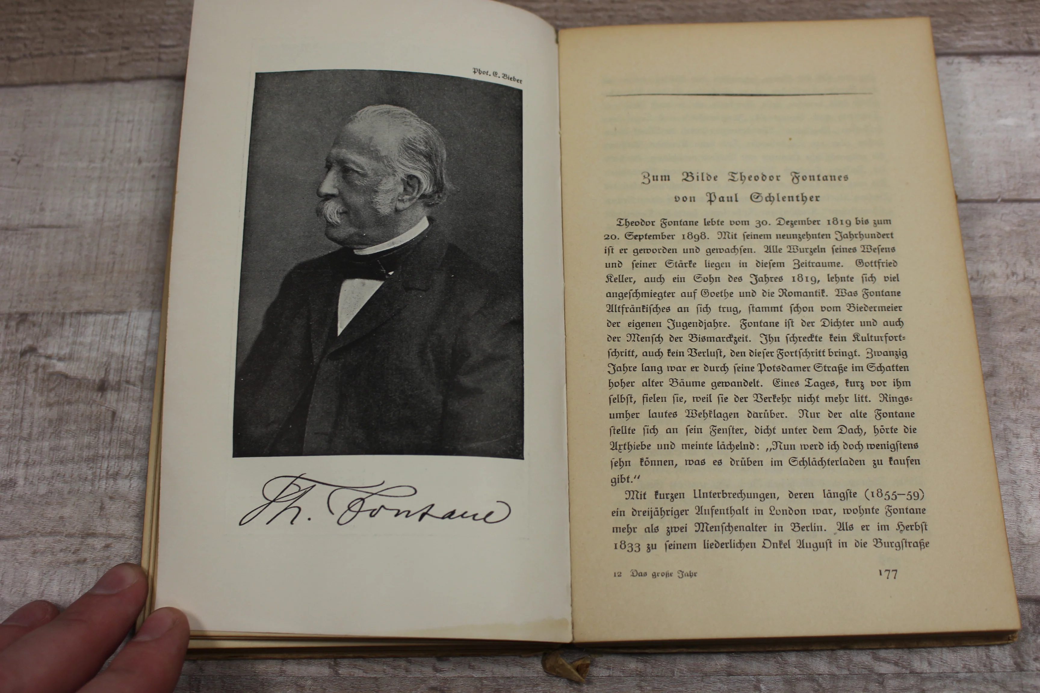 Das Große Jahr - 1914-1915 - S. Fischer / Verlag Berlin - German - Hardback-Used - Image 7