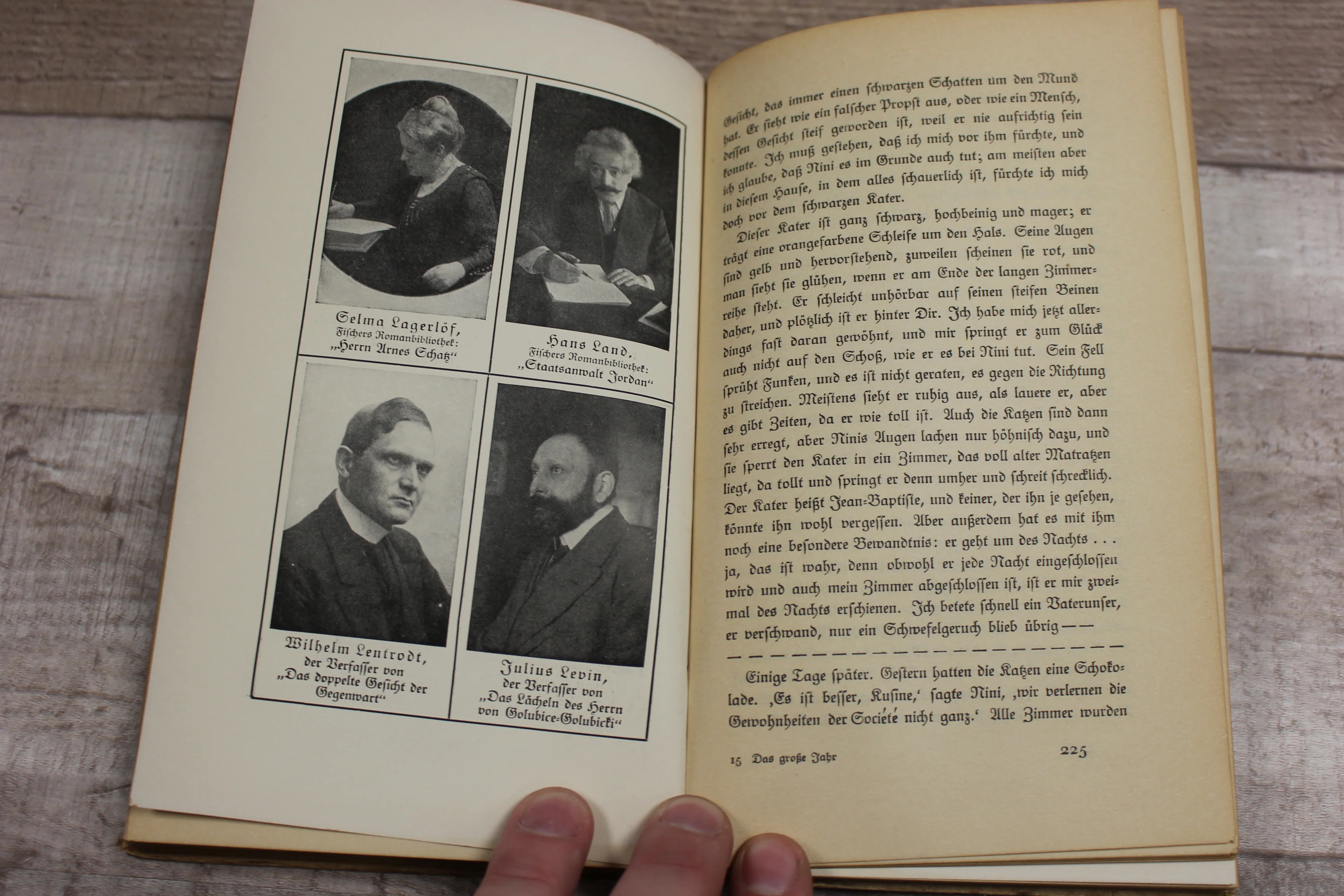 Das Große Jahr - 1914-1915 - S. Fischer / Verlag Berlin - German - Hardback-Used - Image 9