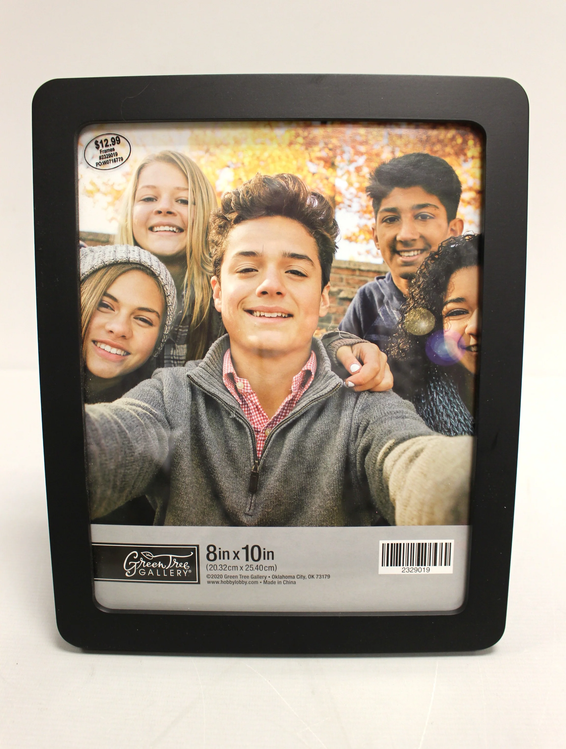 Green Tree Gallery 8" x 10" Black Picture Frame - New