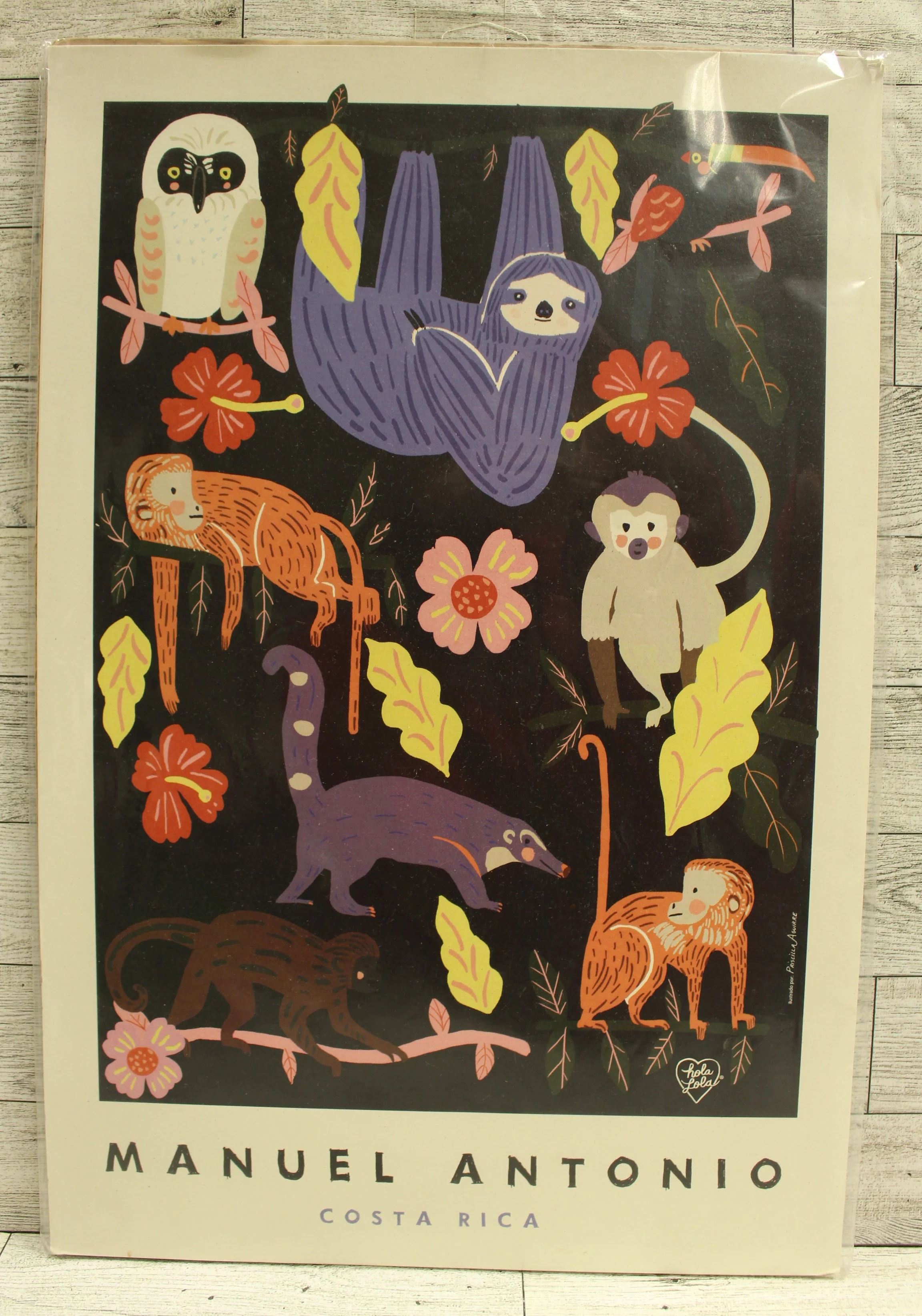 Holalola Manuel Antonio Costa Rica Poster - 18" x 12" - New