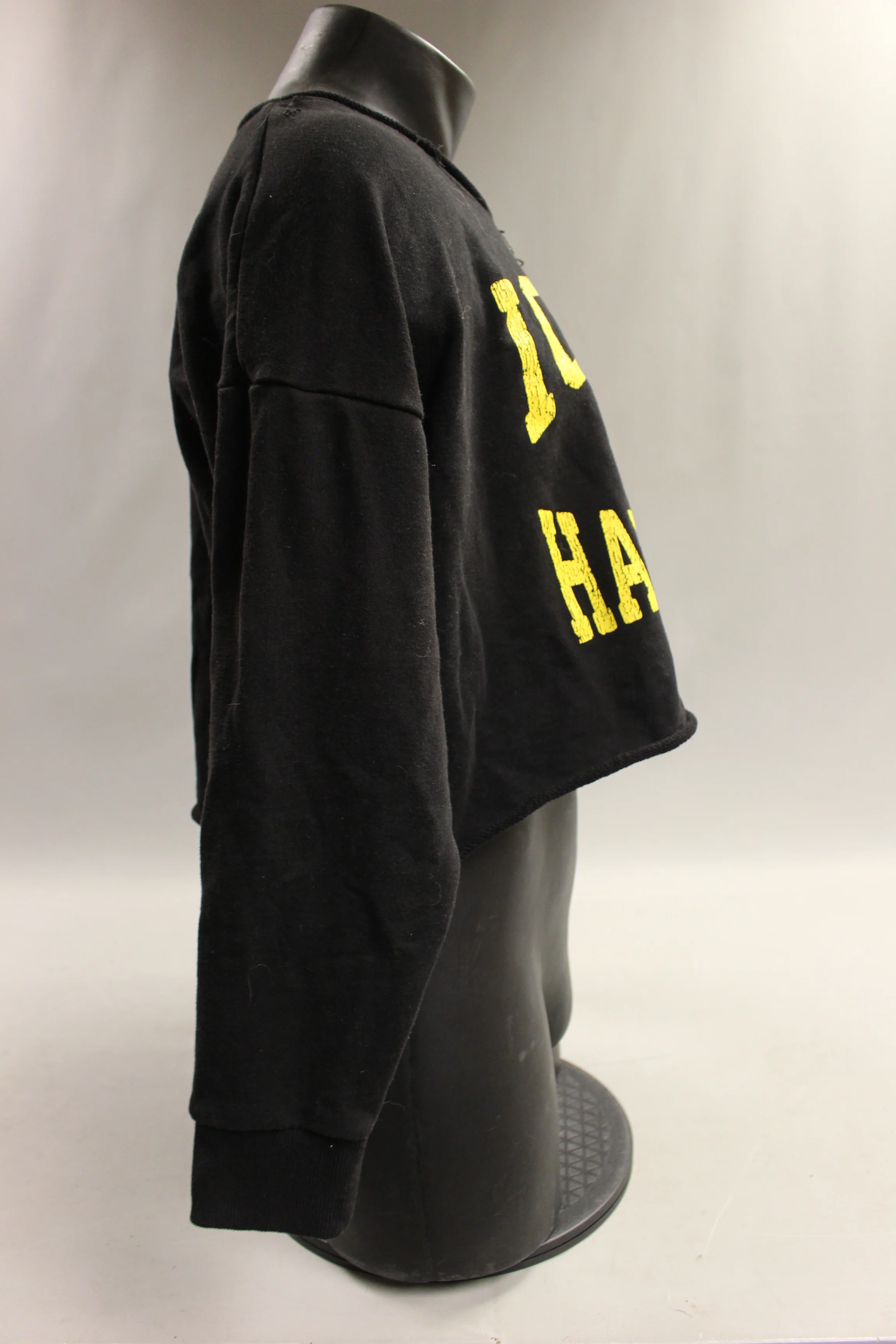 IOWA HAWKEYES Long Sleeve Cropped Sweatshirt - Large - Used - Image 2