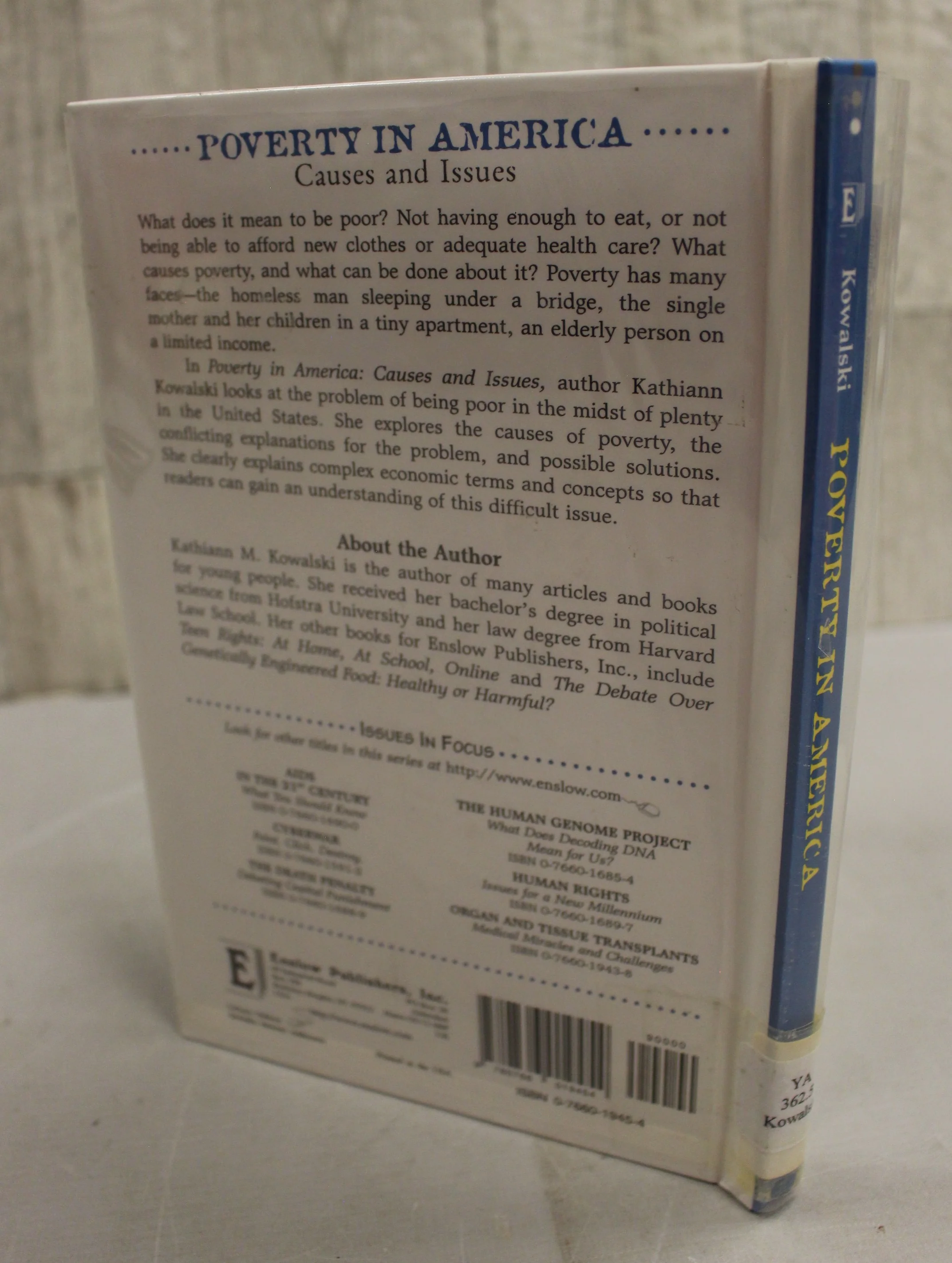 Issues in Focus Poverty in America Causes & Issues - Kathiann M. Kowalski - Image 2