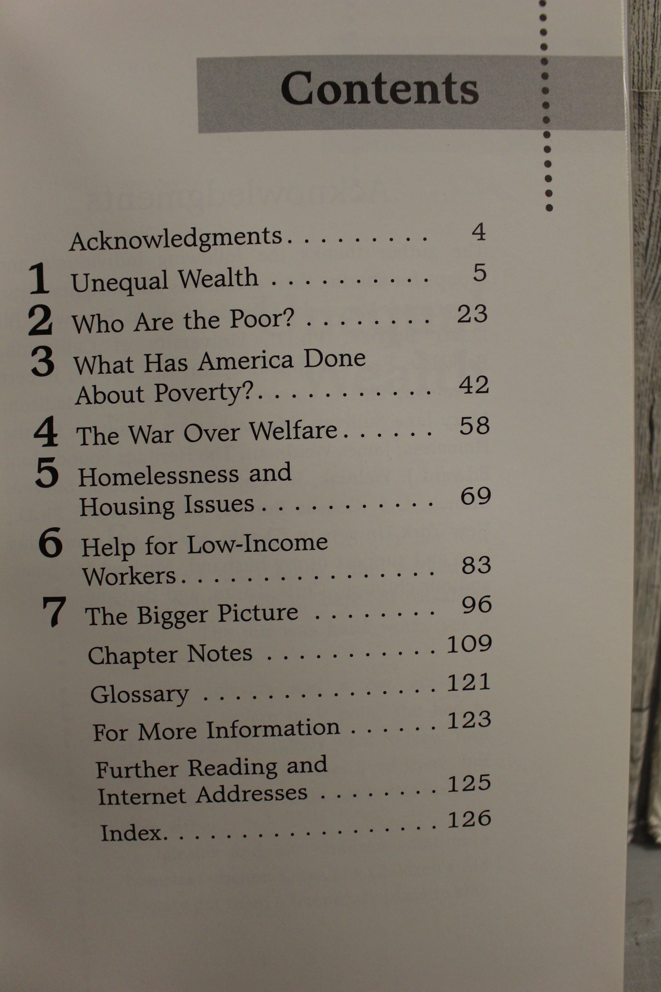 Issues in Focus Poverty in America Causes & Issues - Kathiann M. Kowalski - Image 5