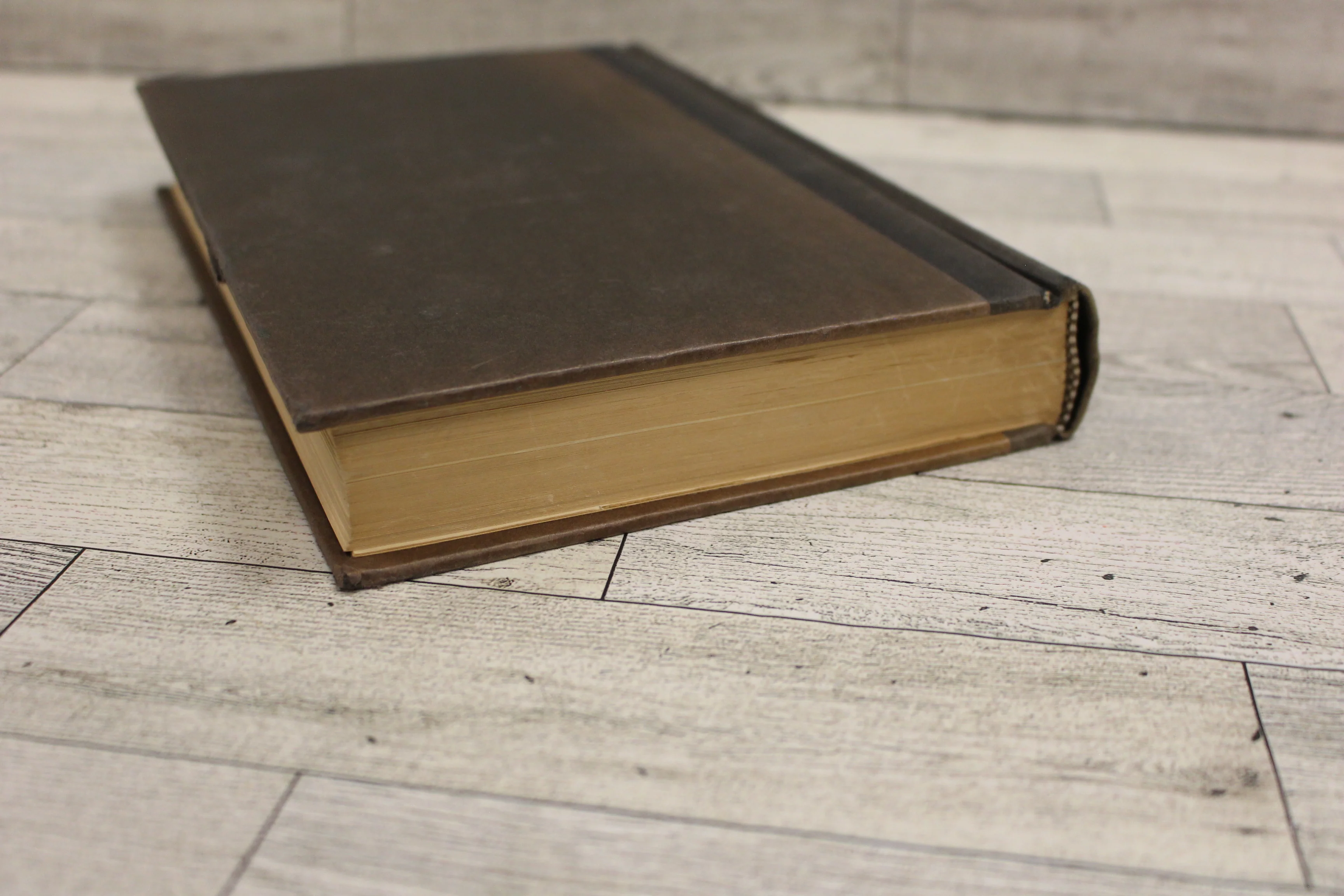 Lion By The Tail by Thomas M. Coffey - Hardback - Used - Image 6