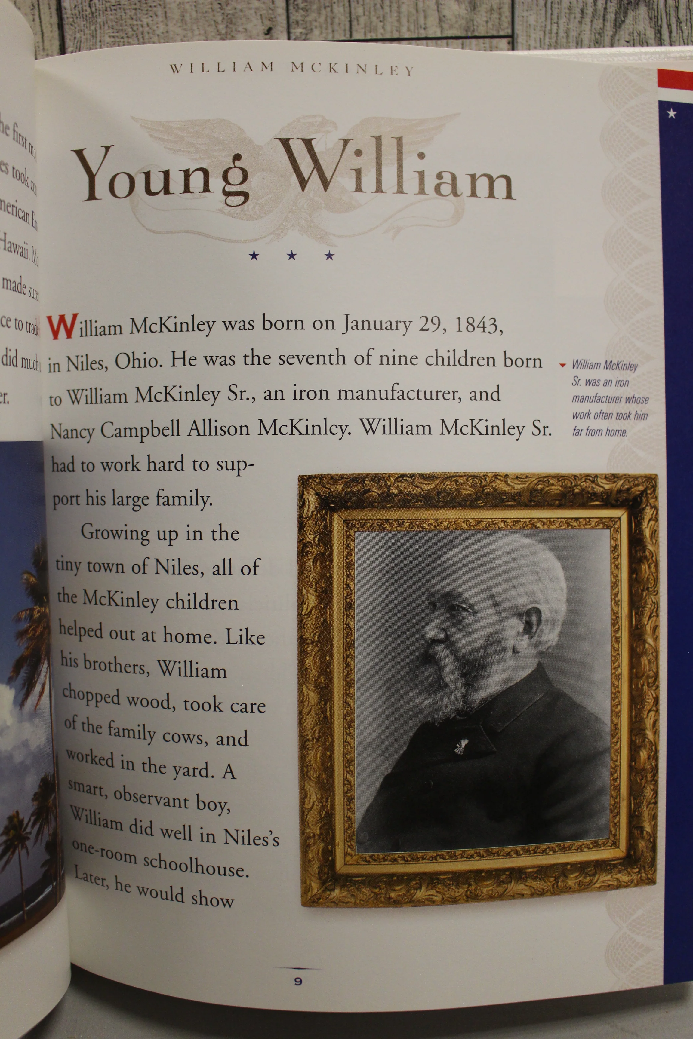 Profiles of the Presidents: William McKinley by Robin Doak - Image 7