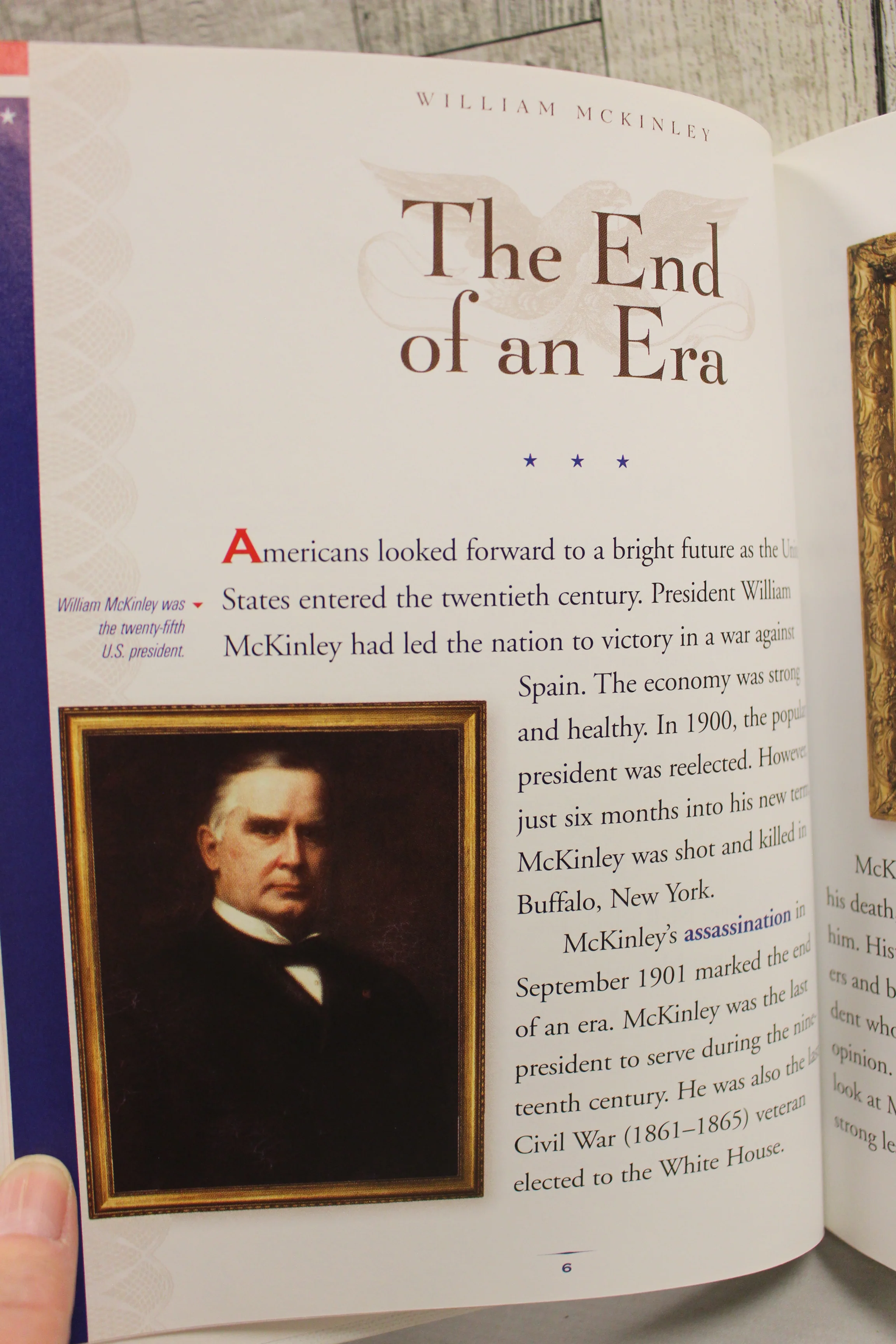 Profiles of the Presidents: William McKinley by Robin Doak - Image 9