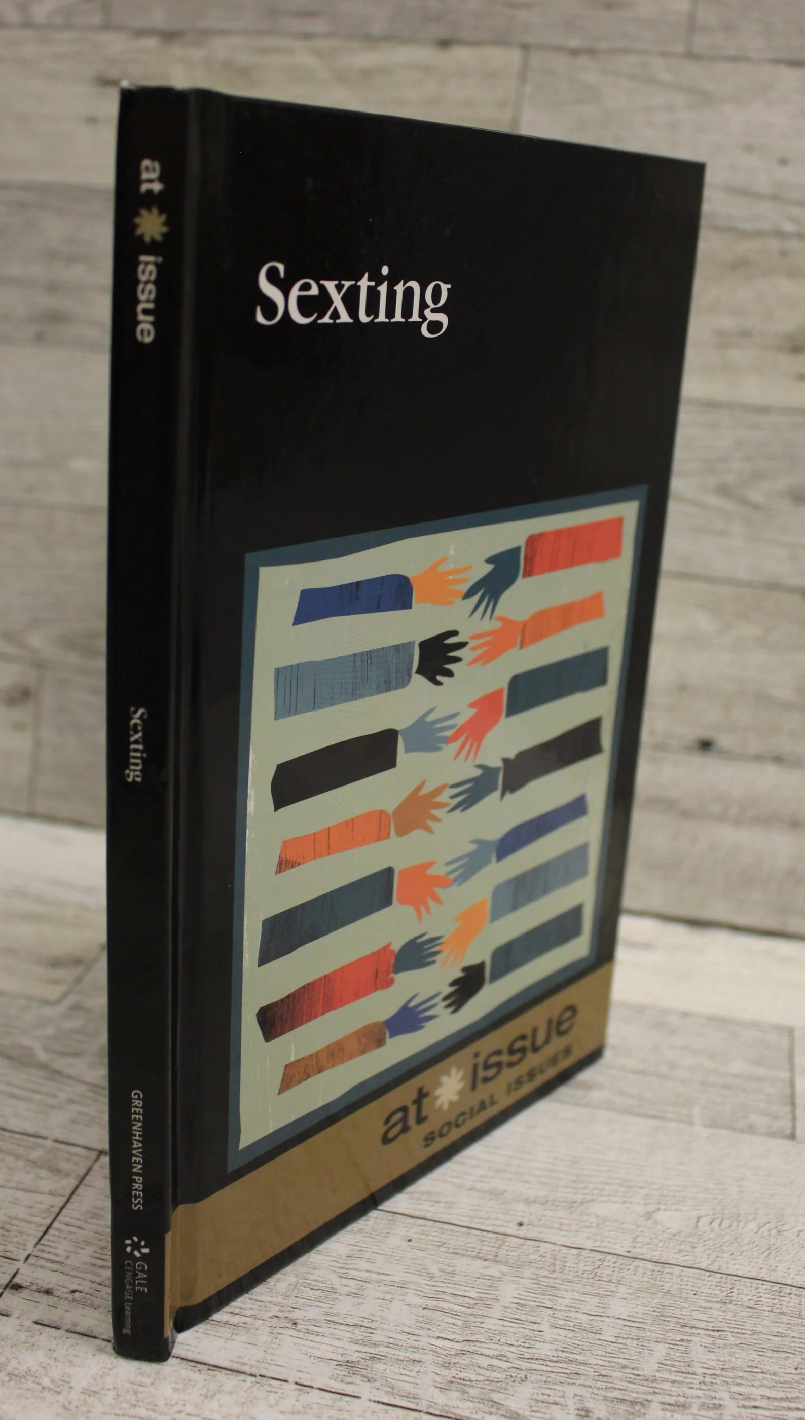 Sexting (At Issue) - Stefan Kiesbye
