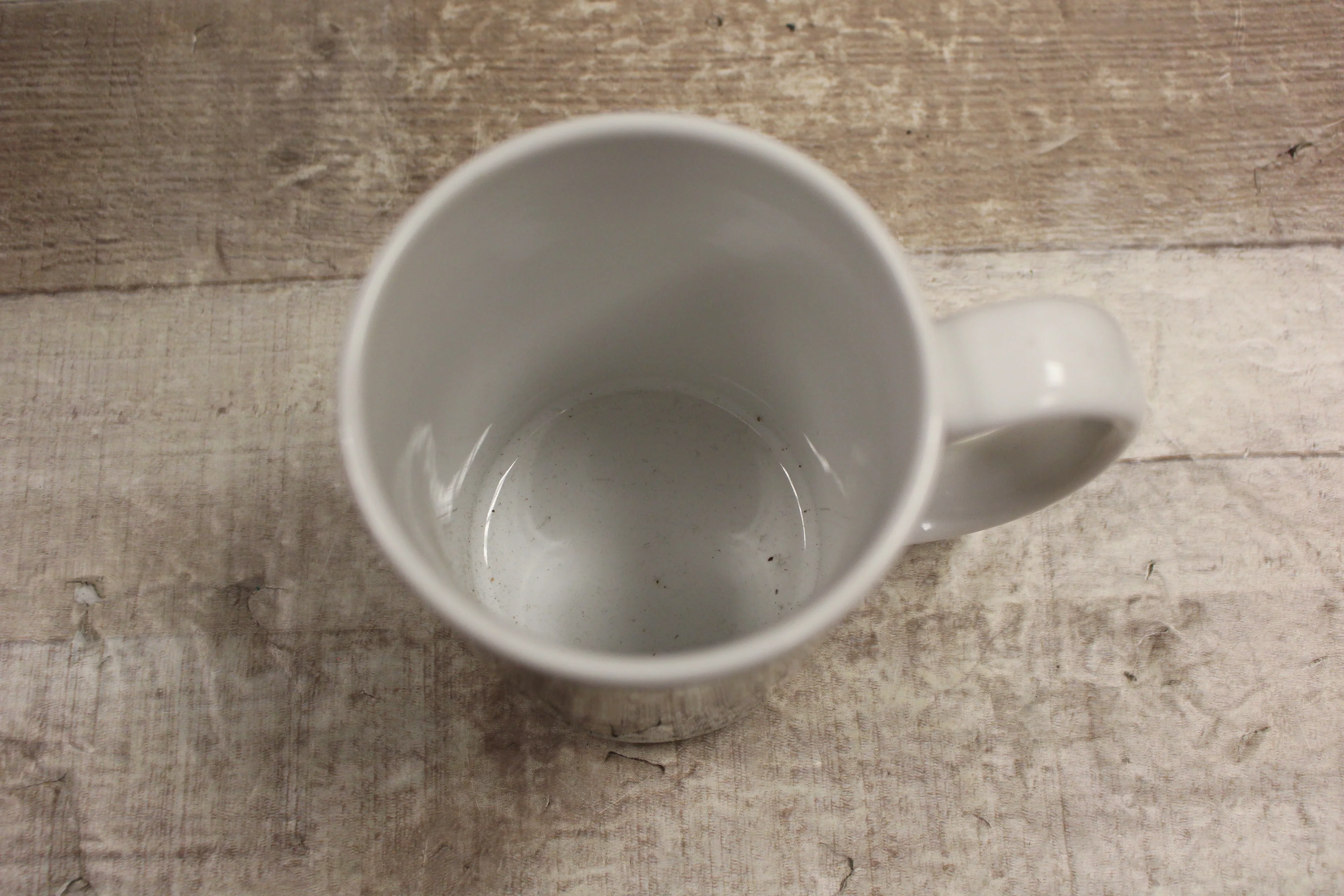 Wright State Raiders College Coffee Mug Cup -New - Image 4