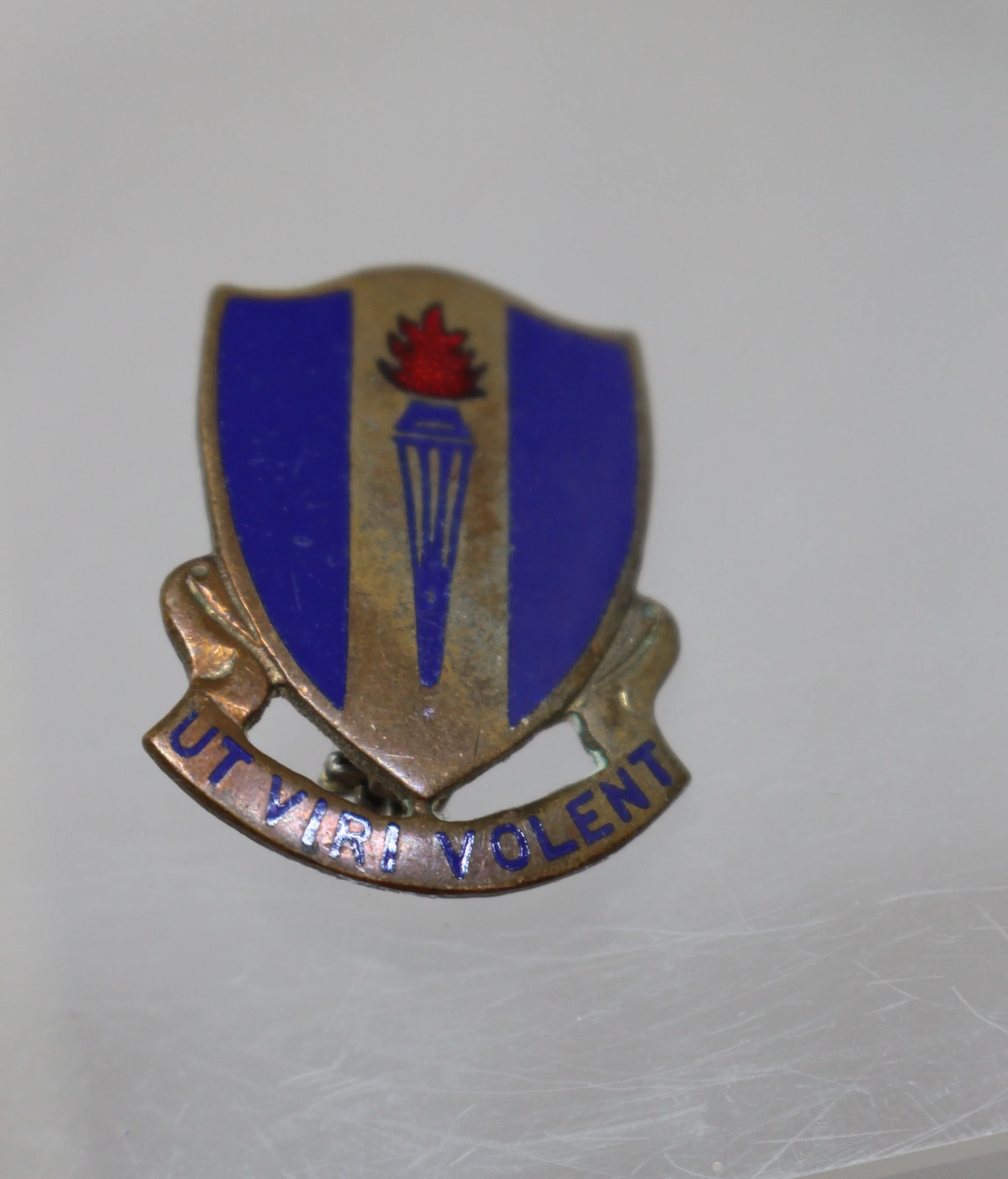 WWII Air Force Advanced Flying School Crest - Used - Image 2